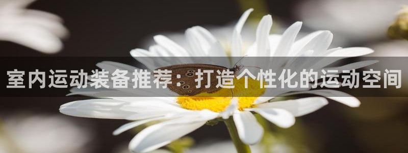 凯捷体育平台是正规平台吗安全吗：室内运动装备推荐：打