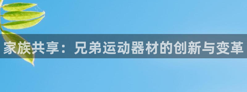 海南凯捷体育：家族共享：兄弟运动器材的创新与变革