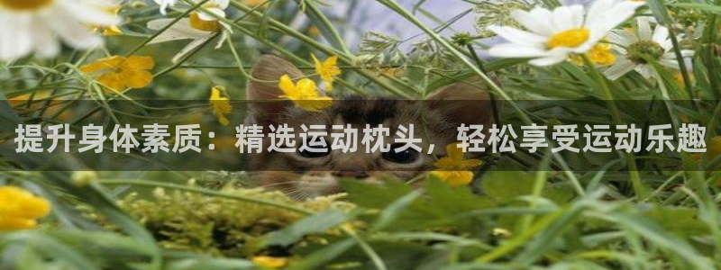 凯捷体育开户：提升身体素质：精选运动枕头，轻松享受运