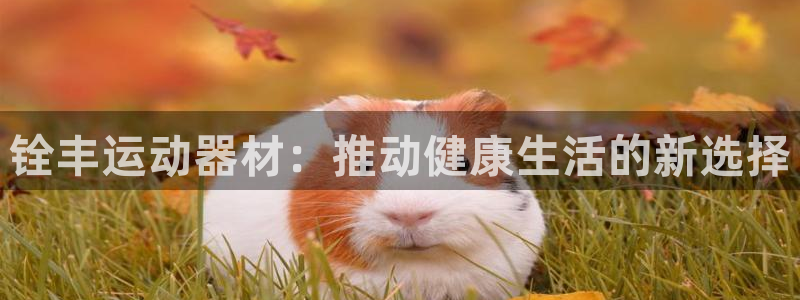 凯捷体育娱乐40996：铨丰运动器材：推动健康生活的