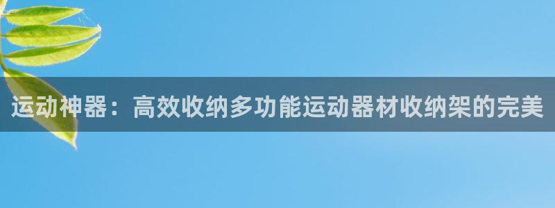 凯捷体育是干嘛的公司