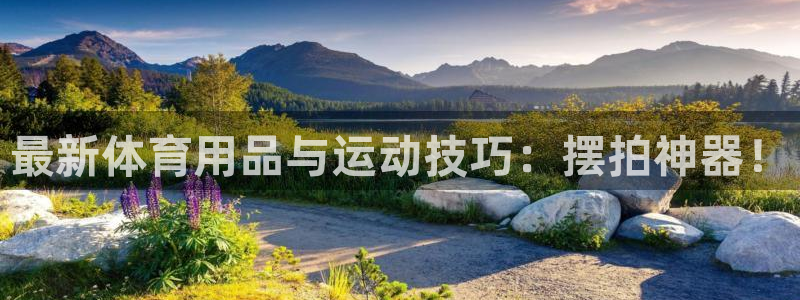 凯捷体育集团官网首页网址