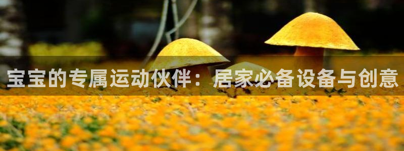 凯捷体育娱乐40996：宝宝的专属运动伙伴：居家必备