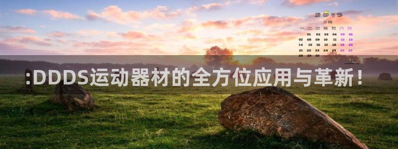 凯捷体育新能源：:DDDS运动器材的全方位应用与革新