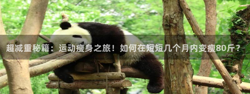 凯捷体育招商电话号码：超减重秘籍：运动瘦身之旅！如何