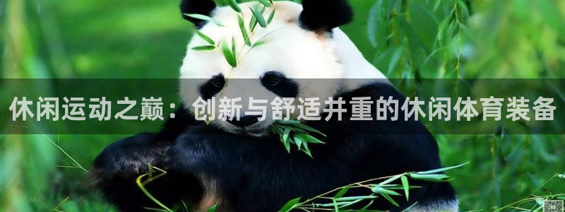 德国凯捷体育集团：休闲运动之巅：创新与舒适并重的休闲