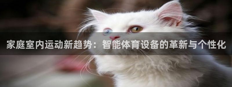 凯捷体育平台注册要钱吗安全吗：家庭室内运动新趋势：智