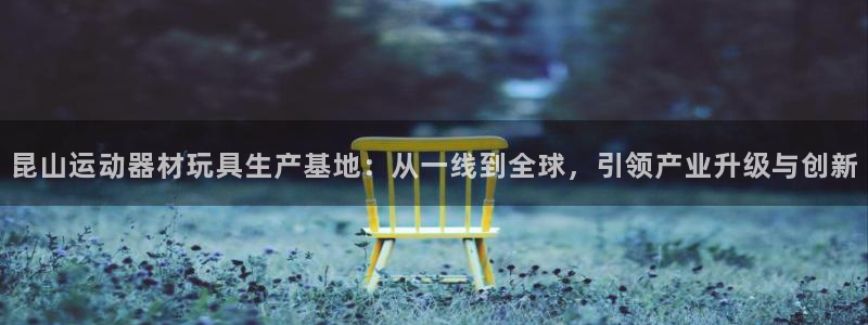 意昂平台体育：昆山运动器材玩具生产基地：从一线到全球