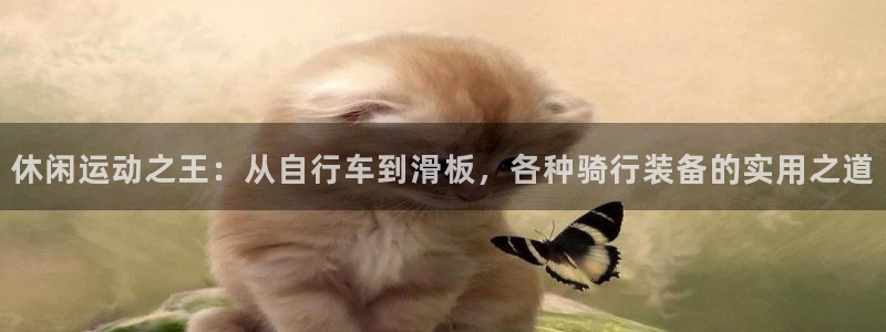 凯捷体育开户：休闲运动之王：从自行车到滑板，各种骑行