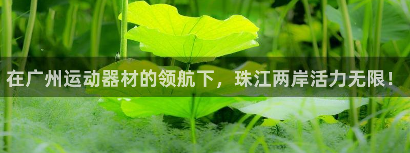 凯捷体育平台假的吗是真的吗吗：在广州运动器材的领航下