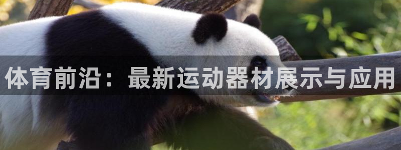 凯捷体育平台APP：体育前沿：最新运动器材展示与应用