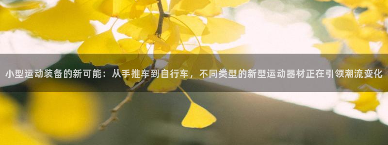 凯捷体育平台APP：小型运动装备的新可能：从手推车到