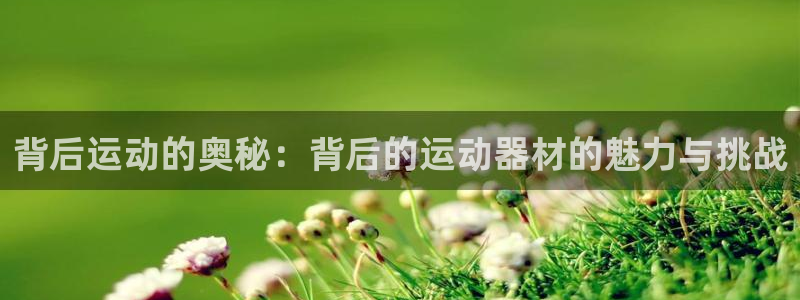 凯捷体育招商电话号码是多少号：背后运动的奥秘：背后的