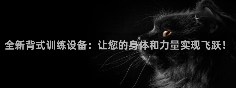 凯捷体育开户：全新背式训练设备：让您的身体和力量实现