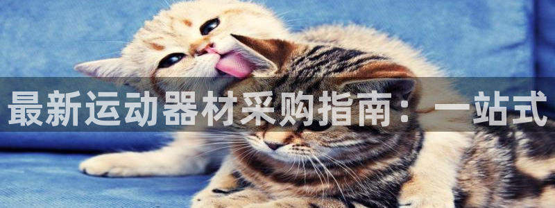 凯捷体育招商电话号码是多少：最新运动器材采购指南：一