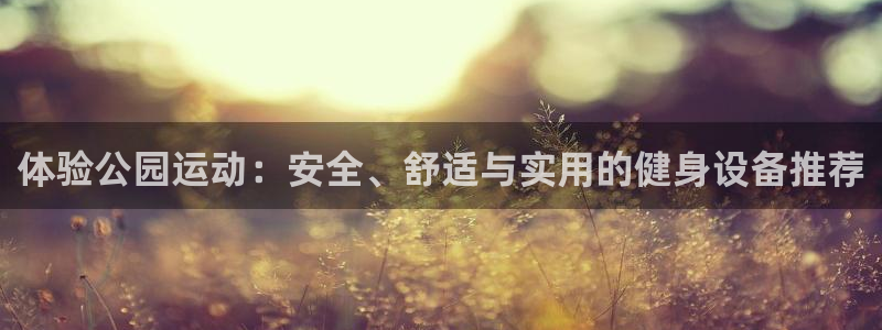 凯捷体育娱乐网站：体验公园运动：安全、舒适与实用的健