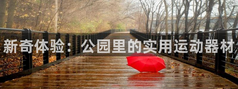 凯捷体育平台假的吗是真的吗：新奇体验：公园里的实用运