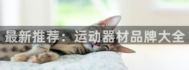 凯捷体育注册：最新推荐：运动器材品牌大全