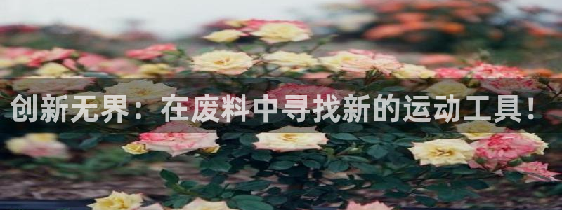 凯捷体育招商电话是多少号码