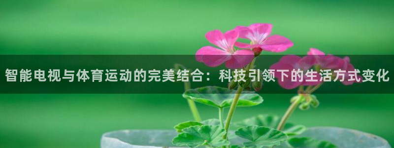 凯捷体育娱乐首页网站大全：智能电视与体育运动的完美结