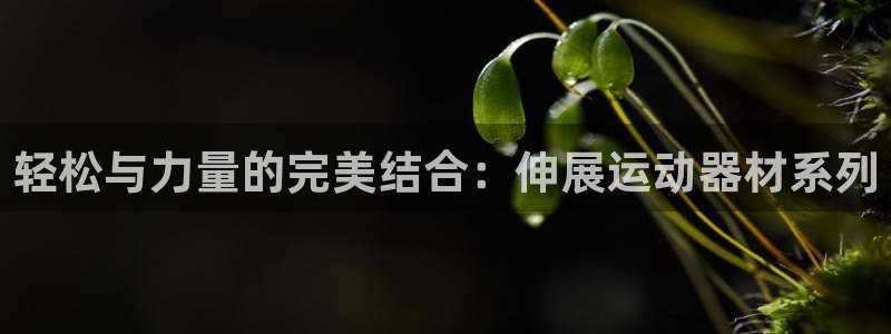 凯捷体育招商电话是多少号码：轻松与力量的完美结合：伸