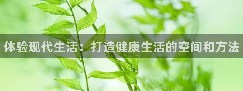 凯捷体育招商电话号码：体验现代生活：打造健康生活的空