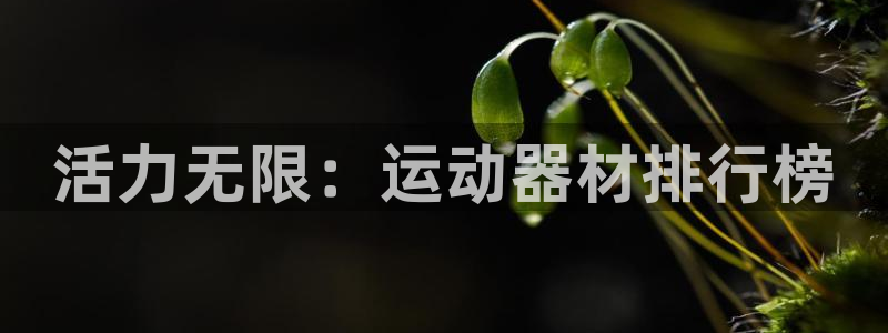 凯捷体育平台注册要钱吗是真的吗：活力无限：运动器材排行榜