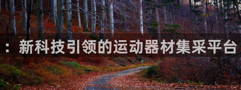 凯捷体育注册：：新科技引领的运动器材集采平台