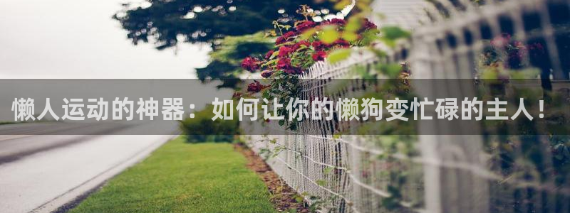 凯捷体育联系电话：懒人运动的神器：如何让你的懒狗变忙