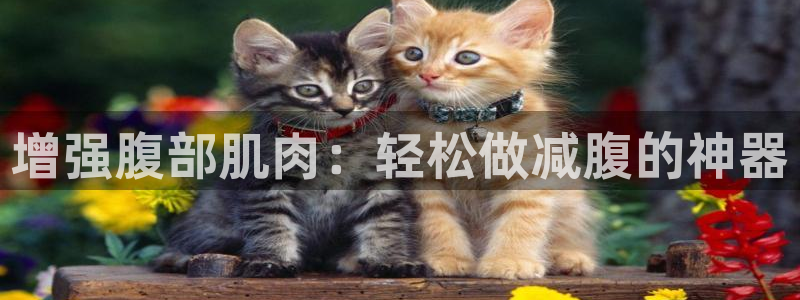 凯捷体育平台APP：增强腹部肌肉：轻松做减腹的神器