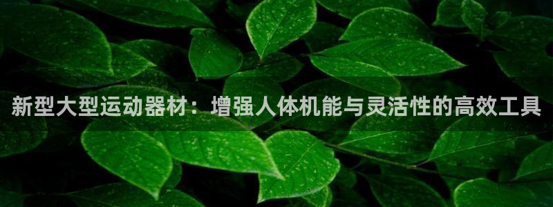 凯捷体育娱乐下载：新型大型运动器材：增强人体机能与灵
