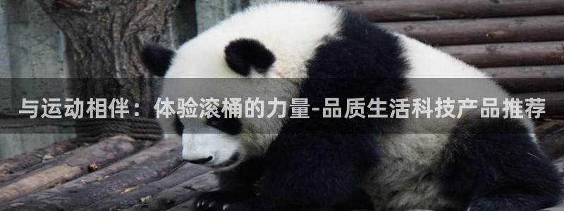 凯捷体育平台是正规平台吗：与运动相伴：体验滚桶的力量