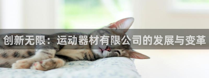 凯捷体育平台APP：创新无限：运动器材有限公司的发展