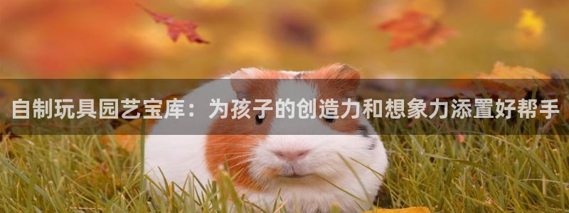 凯捷体育科技：自制玩具园艺宝库：为孩子的创造力和想象