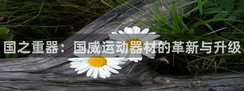 凯捷体育神州：国之重器：国威运动器材的革新与升级
