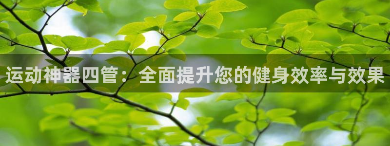 凯捷体育平台注册要钱吗：运动神器四管：全面提升您的健