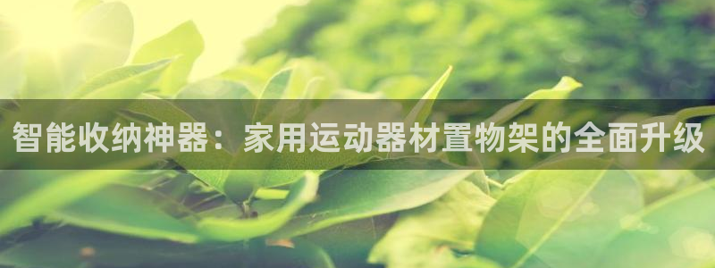 凯捷体育招商：智能收纳神器：家用运动器材置物架的全面