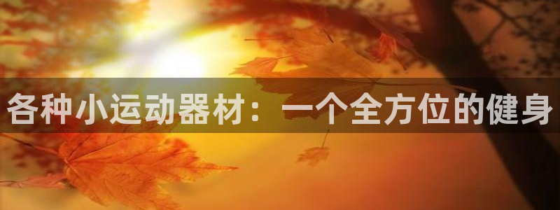 凯捷体育平台是正规平台吗安全吗：各种小运动器材：一个