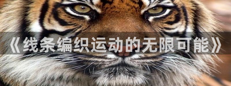 凯捷体育平台注册要钱吗是真的吗：《线条编织运动的无限