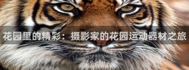 凯捷体育集团：花园里的精彩：摄影家的花园运动器材之旅