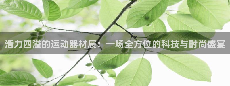 凯捷体育平台注册流程视频：活力四溢的运动器材展：一场