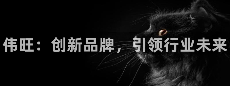 凯捷体育平台：伟旺：创新品牌，引领行业未来