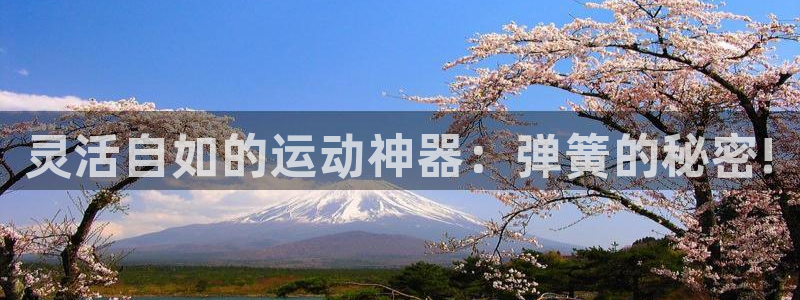 凯捷体育招商电话是多少：灵活自如的运动神器：弹簧的秘