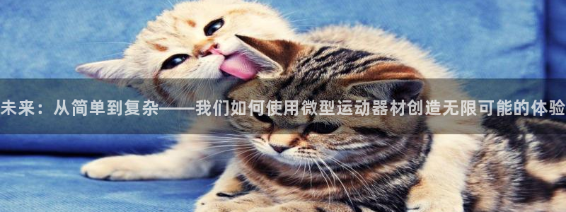 凯捷体育招商电话是多少啊：未来：从简单到复杂——我们如何使用