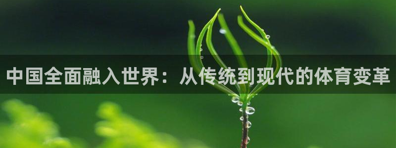 凯捷体育平台注册要钱吗安全吗：中国全面融入世界：从传